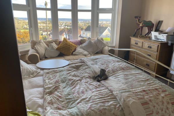 House sit in Llanelli, United Kingdom