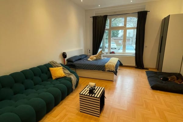 House sit in Frankfurt am Main, Germany