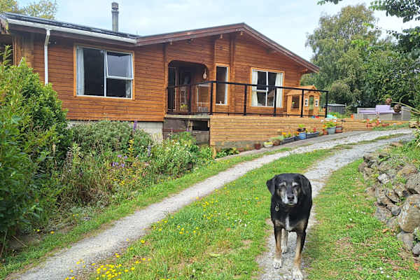 House sit in Waikouaiti, New Zealand