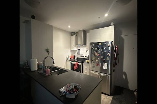 House sit in Pointe-Claire, QC, Canada