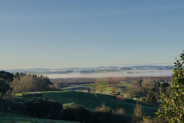 House sit in Pokeno, New Zealand