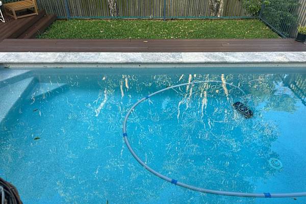 House sit in Brisbane, QLD, Australia