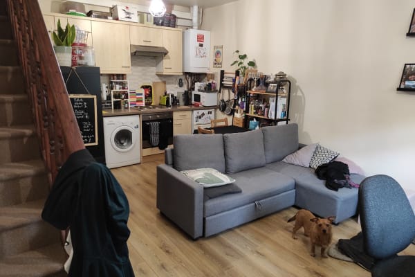 House sit in London, United Kingdom