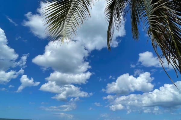 House sit in Ocean Park, Puerto Rico