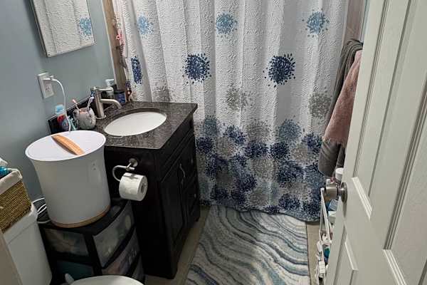 House sit in Alexandria, VA, US