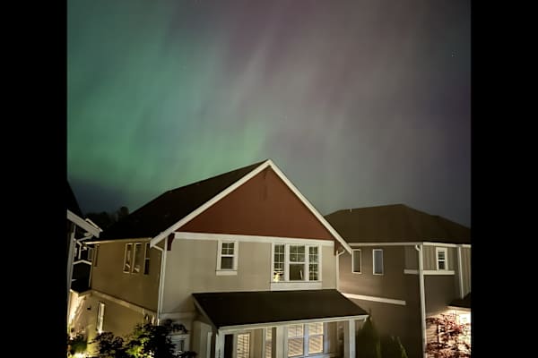 House sit in Everett, WA, US