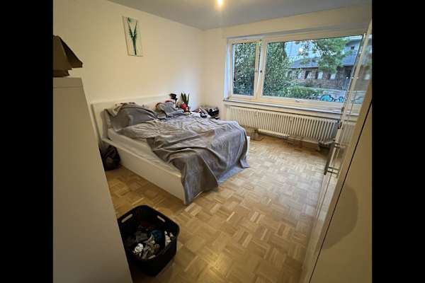 House sit in Bonn, Germany