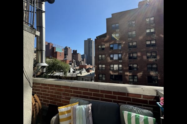 House sit in Manhattan, NY, US