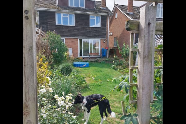 House sit in Andover, United Kingdom