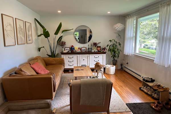 House sit in Burlington, VT, US