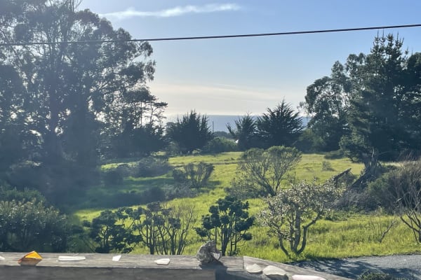 House sit in Watsonville, CA, US