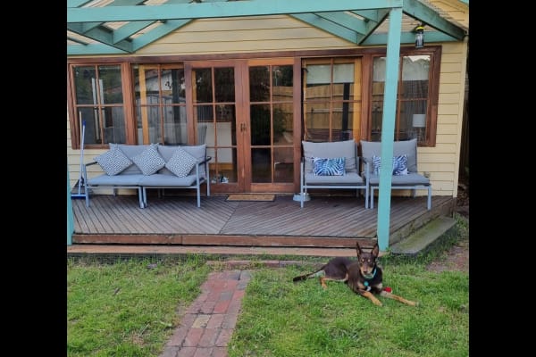 House sit in Caulfield South, VIC, Australia