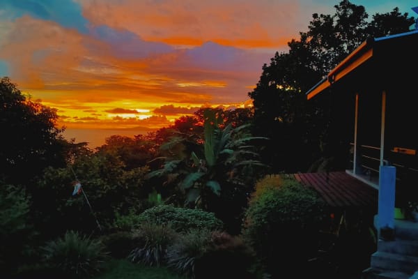 House sit in Mata Oscura, Panama