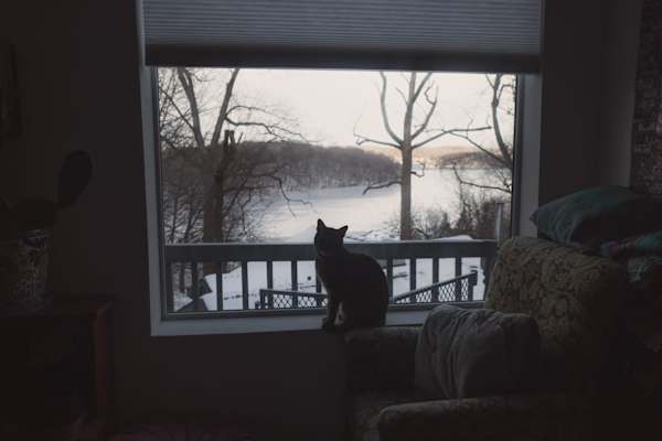 House sit in Mahopac, NY, US