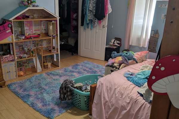House sit in Asheville, NC, US