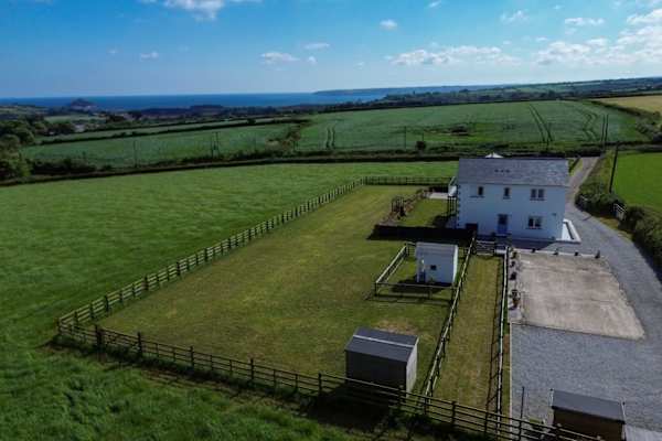 House sit in Penzance, United Kingdom
