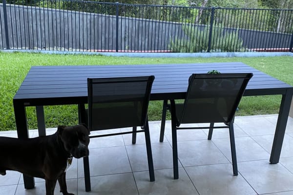 House sit in Gold Coast, QLD, Australia