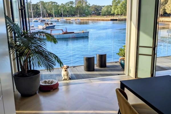 House sit in Sydney, NSW, Australia