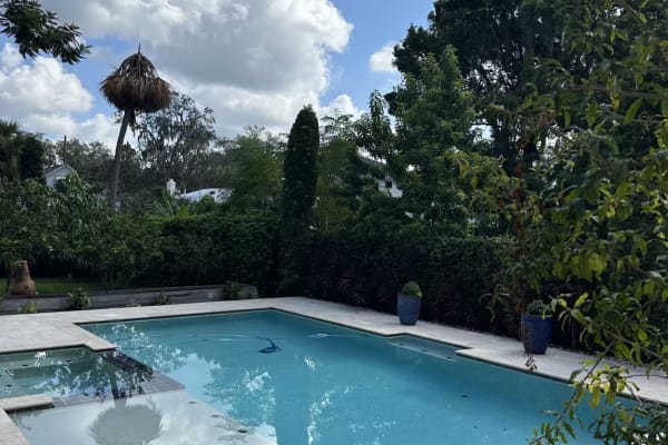 House sit in Orlando, FL, US