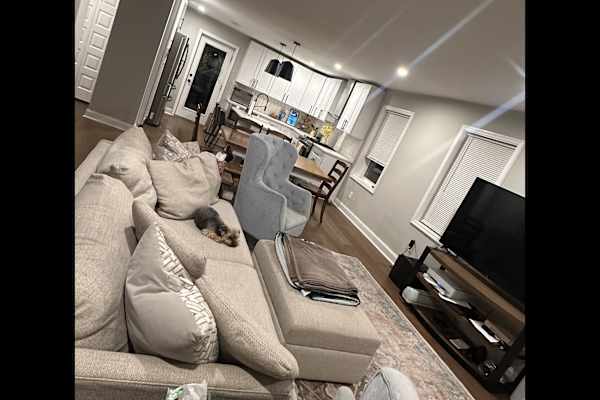 House sit in Philadelphia, PA, US