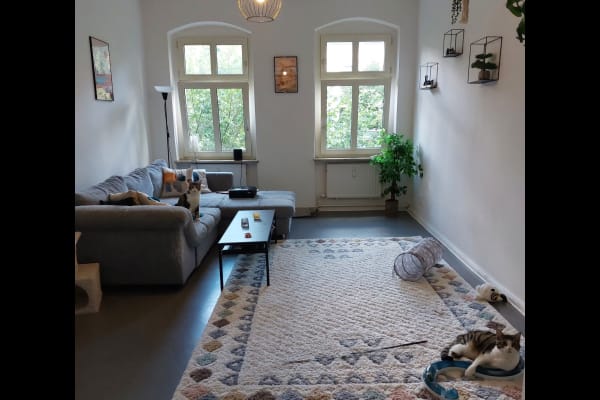 House sit in Berlin, Germany