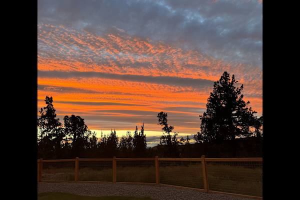 House sit in Redmond, OR, US