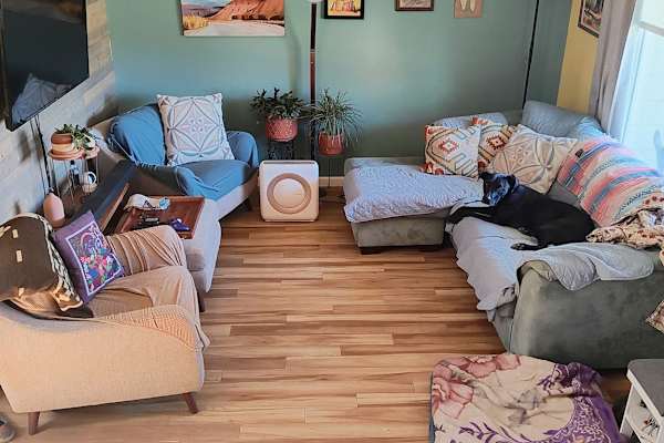 House sit in Parker, CO, US