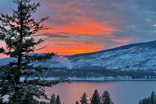 House sit in Kettle Falls, WA, US