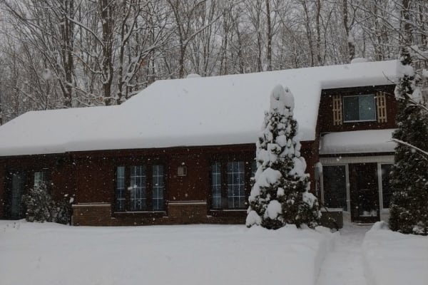 House sit in Barrie, ON, Canada