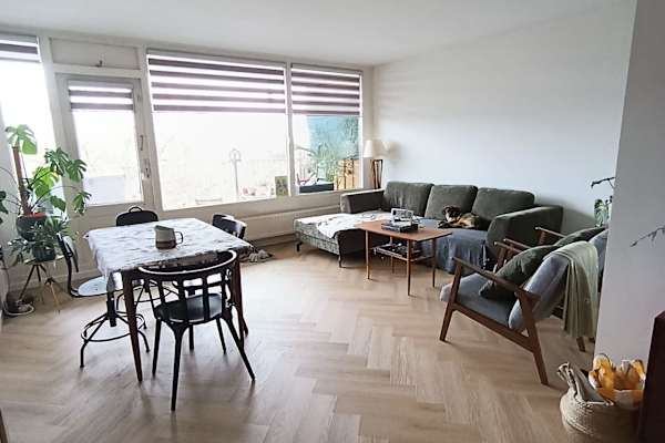 House sit in Haarlem, Netherlands