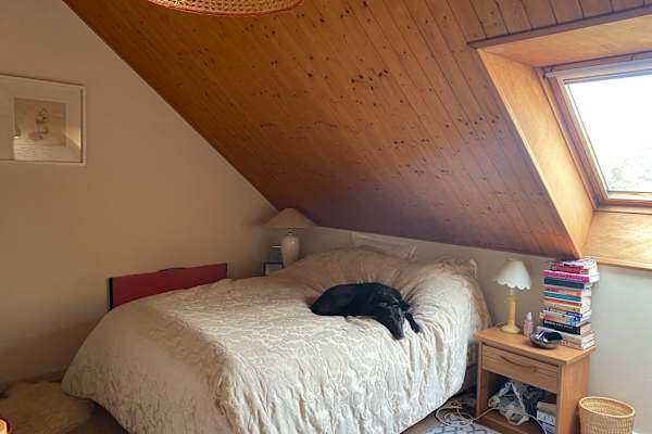 House sit in Dunning, United Kingdom