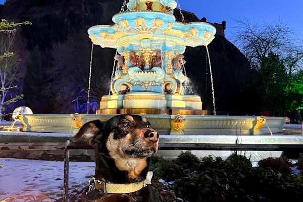 House sit in Edinburgh, United Kingdom