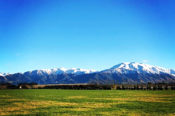 House sit in Methven, New Zealand