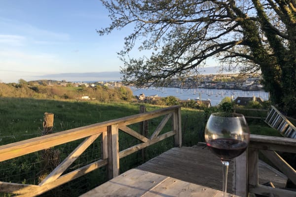 House sit in Falmouth, United Kingdom