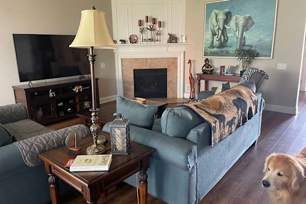 House sit in Cleveland, OH, US