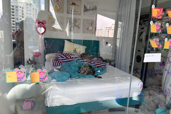 House sit in Vancouver, BC, Canada