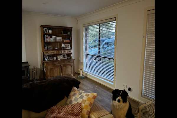 House sit in Nowra, NSW, Australia
