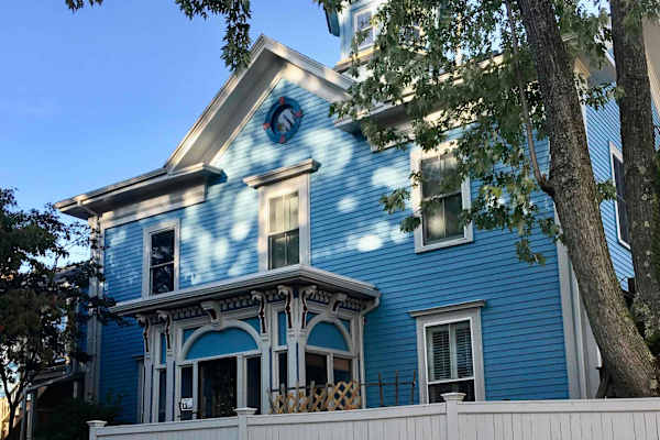 House sit in Cambridge, MA, US