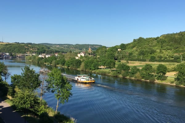 House sit in Wasserbillig, Luxembourg