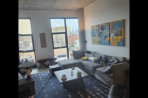 House sit in Chicago, IL, US