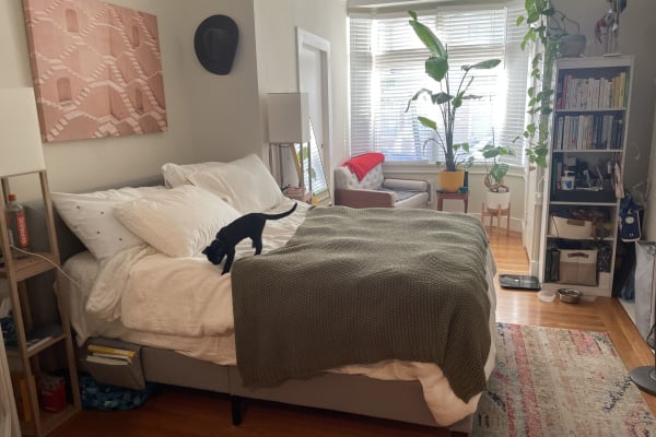House sit in San Francisco, CA, US