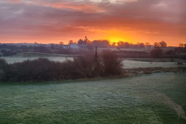 House sit in Shrule, Ireland