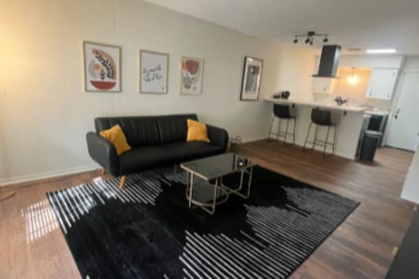 House sit in Austin, TX, US