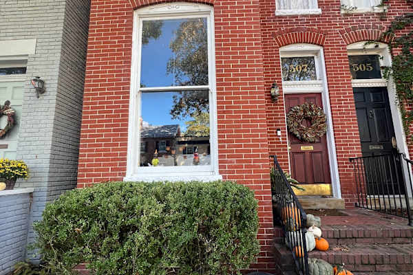 House sit in Alexandria, VA, US