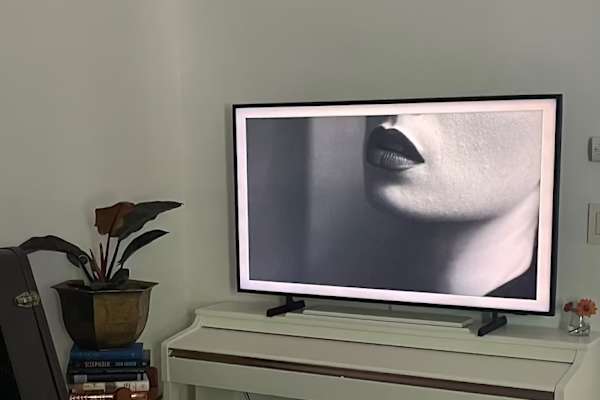 House sit in Lancaster, PA, US