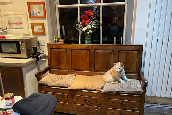 House sit in Penarth, United Kingdom