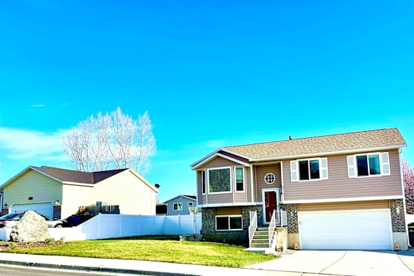 House sit in Lehi, UT, US