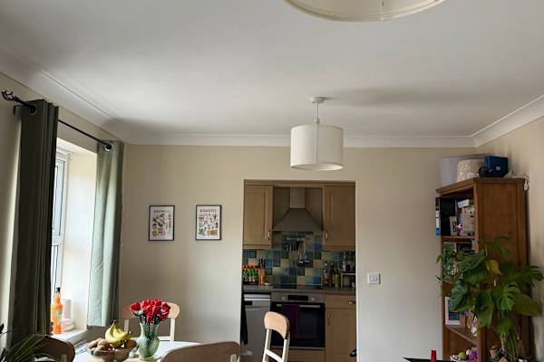 House sit in York, United Kingdom