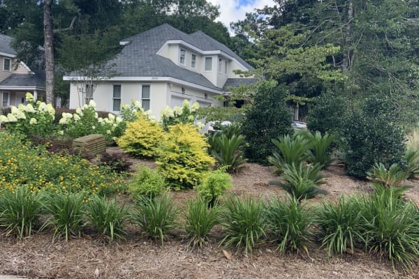 House sit in Wrightsville Beach, NC, US