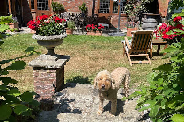 House sit in Edenbridge, United Kingdom